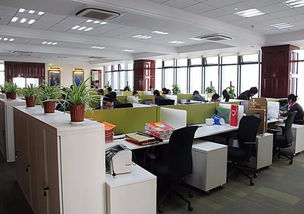 看準(zhǔn)網(wǎng)